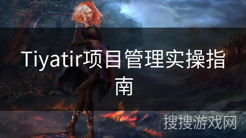 Tiyatir项目管理实操指南