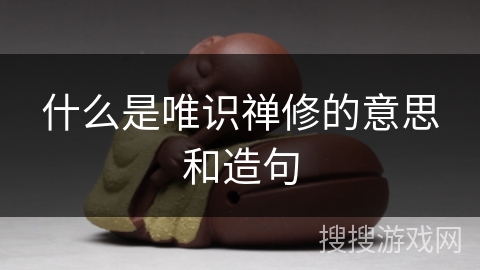 什么是唯识禅修的意思和造句