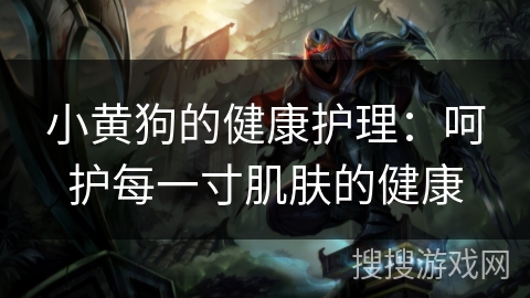 小黄狗的健康护理：呵护每一寸肌肤的健康