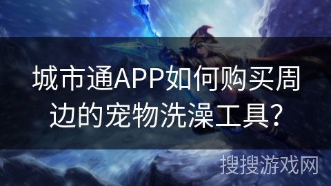 城市通APP如何购买周边的宠物洗澡工具？