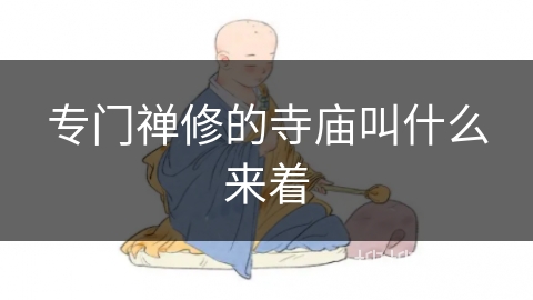 专门禅修的寺庙叫什么来着
