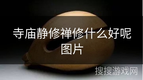 寺庙静修禅修什么好呢图片