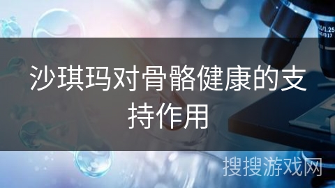 沙琪玛对骨骼健康的支持作用 沙琪玛对骨骼健康的支持作用