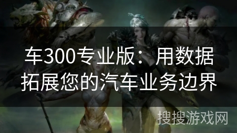 车300专业版：用数据拓展您的汽车业务边界