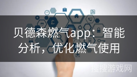 贝德森燃气app：智能分析，优化燃气使用