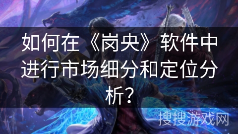 如何在《岗央》软件中进行市场细分和定位分析？