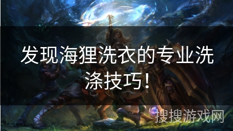 发现海狸洗衣的专业洗涤技巧！