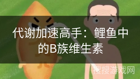 代谢加速高手：鲤鱼中的B族维生素