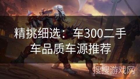 精挑细选：车300二手车品质车源推荐