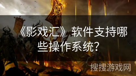 《影戏汇》软件支持哪些操作系统？