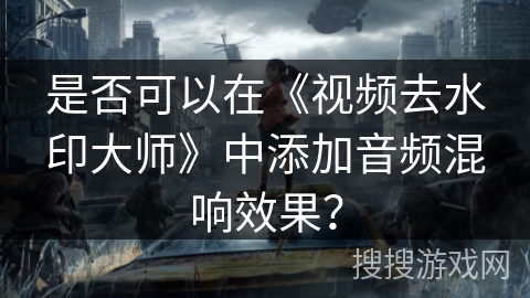 是否可以在《视频去水印大师》中添加音频混响效果? 是否可以在《视频去水印大师》中添加音频混响效果?