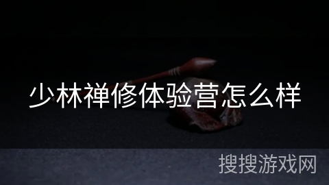 少林禅修体验营怎么样