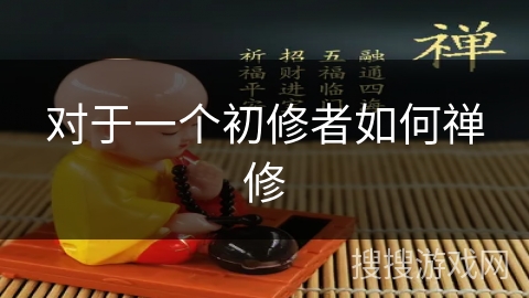 对于一个初修者如何禅修