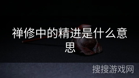 禅修中的精进是什么意思