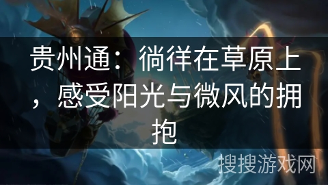 贵州通：徜徉在草原上，感受阳光与微风的拥抱