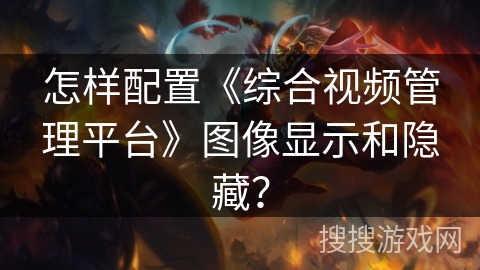 怎样配置《综合视频管理平台》图像显示和隐藏？