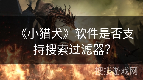 《小猎犬》软件是否支持搜索过滤器？