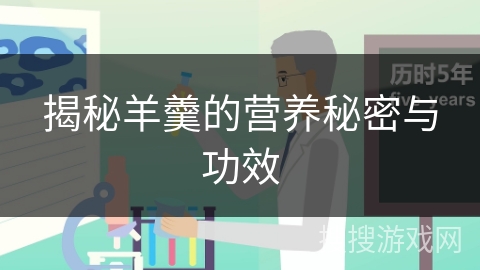 揭秘羊羹的营养秘密与功效