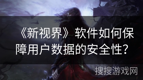 《新视界》软件如何保障用户数据的安全性？