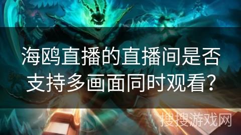 海鸥直播的直播间是否支持多画面同时观看？