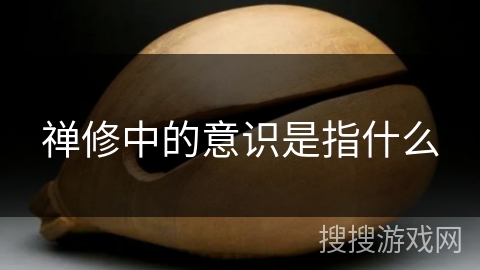 禅修中的意识是指什么