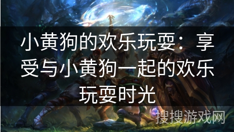 小黄狗的欢乐玩耍：享受与小黄狗一起的欢乐玩耍时光