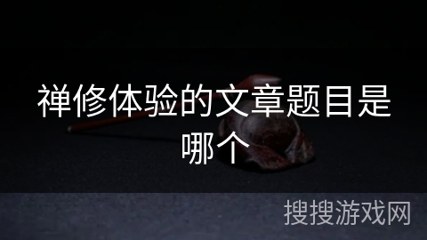 禅修体验的文章题目是哪个