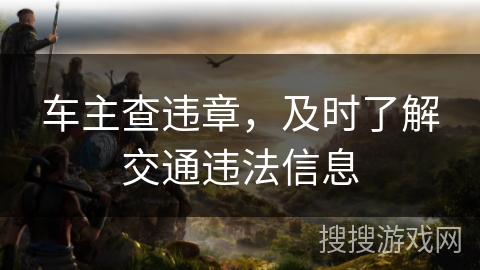 车主查违章，及时了解交通违法信息