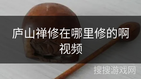 庐山禅修在哪里修的啊视频