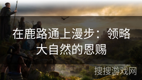 在鹿路通上漫步：领略大自然的恩赐