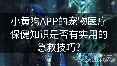 小黄狗APP的宠物医疗保健知识是否有实用的急救技巧？