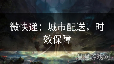 微快递:城市配送,时效保障 微快递:城市配送,时效保障
