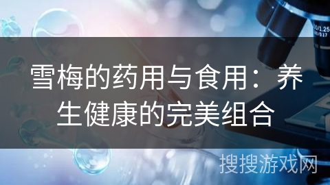 雪梅的药用与食用：养生健康的完美组合