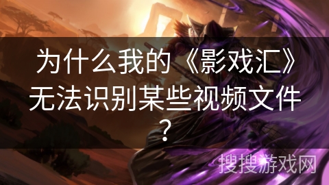 为什么我的《影戏汇》无法识别某些视频文件？