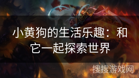 小黄狗的生活乐趣：和它一起探索世界