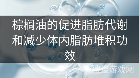 棕榈油的促进脂肪代谢和减少体内脂肪堆积功效