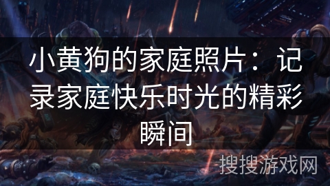 小黄狗的家庭照片：记录家庭快乐时光的精彩瞬间