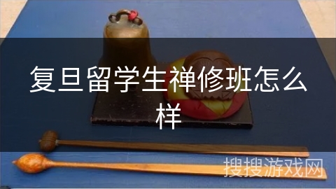 复旦留学生禅修班怎么样