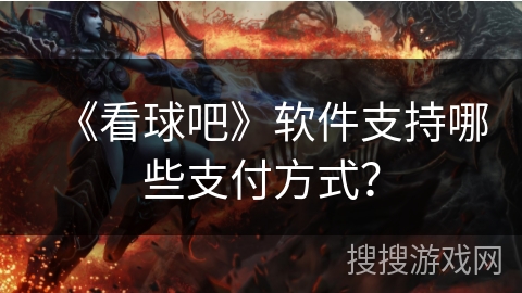 《看球吧》软件支持哪些支付方式？