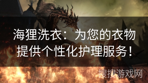 海狸洗衣：为您的衣物提供个性化护理服务！