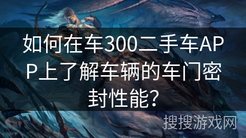 如何在车300二手车APP上了解车辆的车门密封性能？