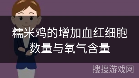 糯米鸡的增加血红细胞数量与氧气含量