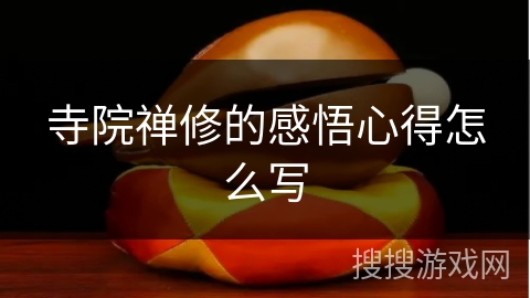 寺院禅修的感悟心得怎么写