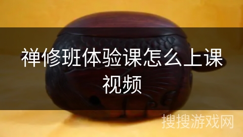 禅修班体验课怎么上课视频