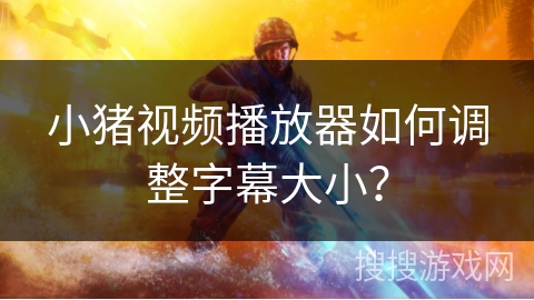 小猪视频播放器如何调整字幕大小？