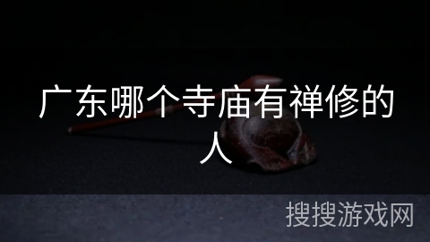 广东哪个寺庙有禅修的人