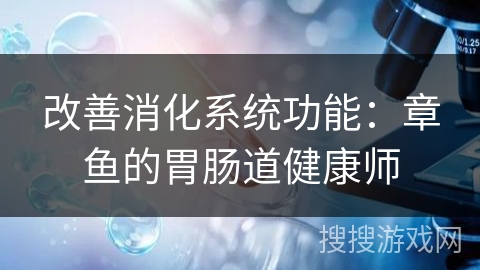 改善消化系统功能：章鱼的胃肠道健康师