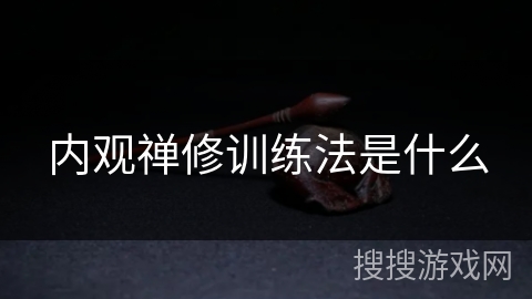 内观禅修训练法是什么