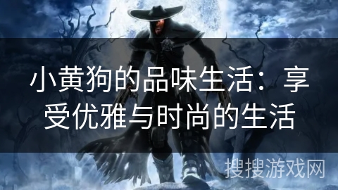 小黄狗的品味生活：享受优雅与时尚的生活