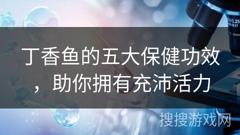 丁香鱼的五大保健功效，助你拥有充沛活力
